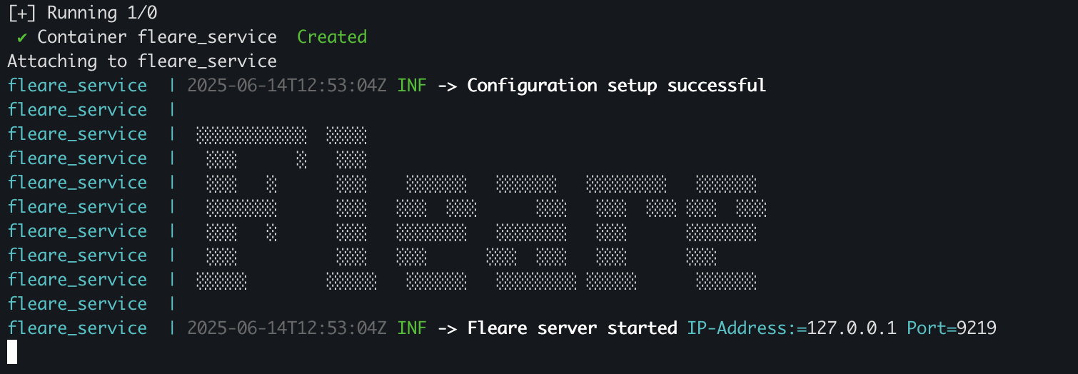 docker run output